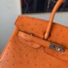 Birkin 25CM Full Handmade 93 Orange Ostrich Leather Silver Hardware