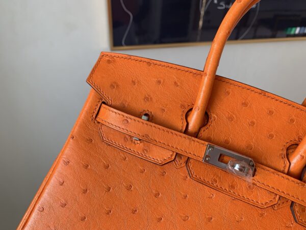 Birkin 25CM Full Handmade 93 Orange Ostrich Leather Silver Hardware
