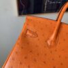 Birkin 25CM Full Handmade 93 Orange Ostrich Leather Silver Hardware