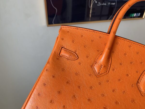 Birkin 25CM Full Handmade 93 Orange Ostrich Leather Silver Hardware