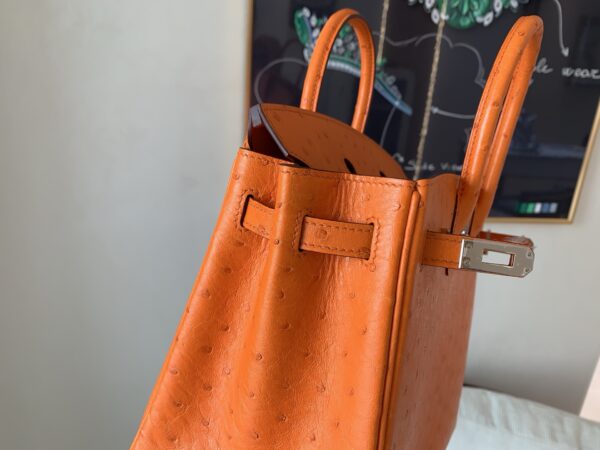 Birkin 25CM Full Handmade 93 Orange Ostrich Leather Silver Hardware