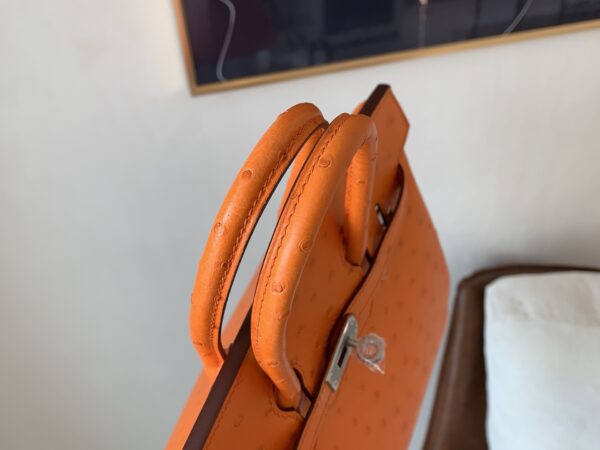 Birkin 25CM Full Handmade 93 Orange Ostrich Leather Silver Hardware