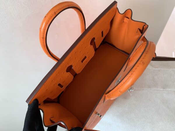 Birkin 25CM Full Handmade 93 Orange Ostrich Leather Silver Hardware